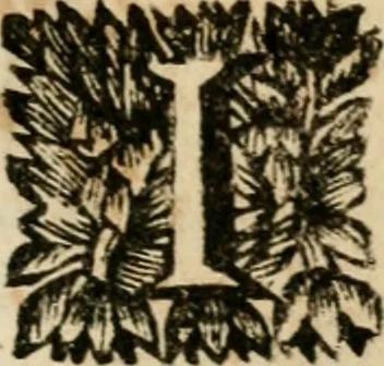 An illustration from Le triomphe royal : où l'on voit dêscrits les arcs de triomphe, piramydes, tablaux, & devises au nombre de 65, erigez à la Haye, à l'honneur de Guillaume III, roy d'Angleterre, Ecosse, France, & Irlande, 1691, leaf 26