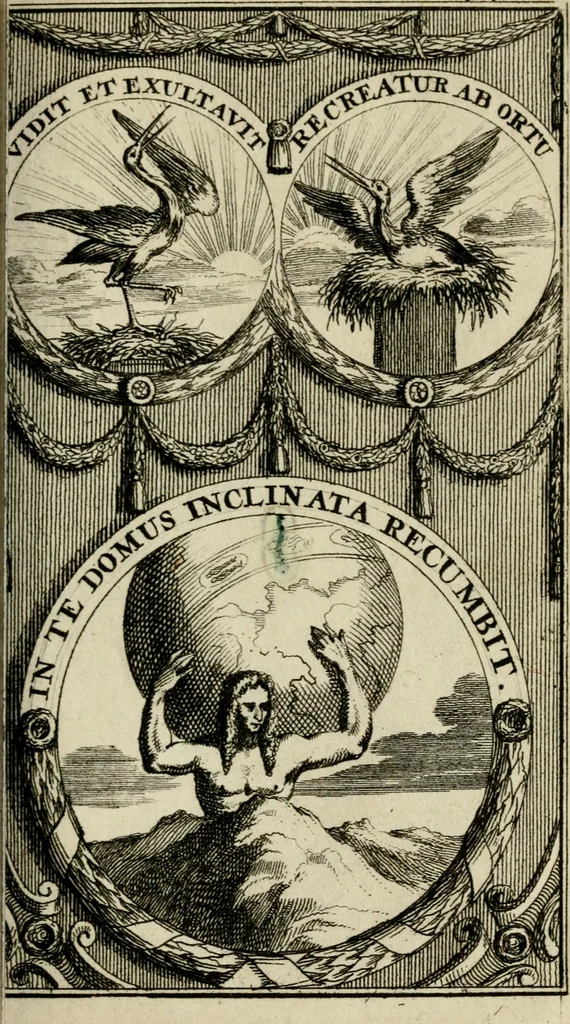 An illustration from Le triomphe royal : où l'on voit dêscrits les arcs de triomphe, piramydes, tablaux, & devises au nombre de 65, erigez à la Haye, à l'honneur de Guillaume III, roy d'Angleterre, Ecosse, France, & Irlande, 1691, leaf 46