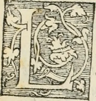 An illustration from Le triumphe d'Anuers faict en la susception du Prince Philips, Prince d'Espaigñ, 1550, leaf 14