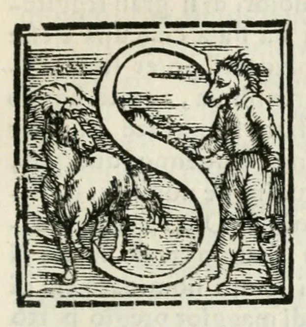 An illustration from Lettera all'illvst.mo et eccell.mo signor don Pietro Medici, di Valerio Ruggieri : sopra la festa fatta dal duca di Carroccio, nella festiuità di San Giouambatista in Firenze, 1588, leaf 11