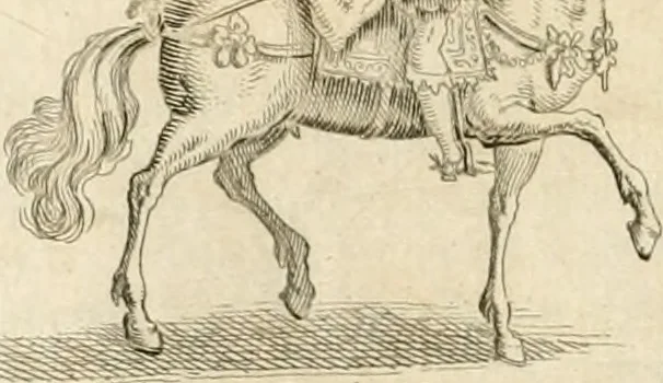 An illustration from Lettera al sig. Alberico Cibo, principe di Massa, sopra il giuoco fatto dal gran dvca intitolato Gverra d'amore il di 12. di Febraio 1615 in Firenze, 1616, leaf 11