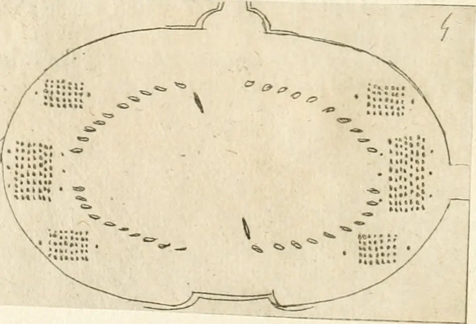 An illustration from Lettera al sig. Alberico Cibo, principe di Massa, sopra il giuoco fatto dal gran dvca intitolato Gverra d'amore il di 12. di Febraio 1615 in Firenze, 1616, leaf 17