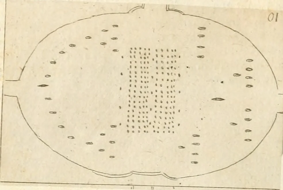 An illustration from Lettera al sig. Alberico Cibo, principe di Massa, sopra il giuoco fatto dal gran dvca intitolato Gverra d'amore il di 12. di Febraio 1615 in Firenze, 1616, leaf 21