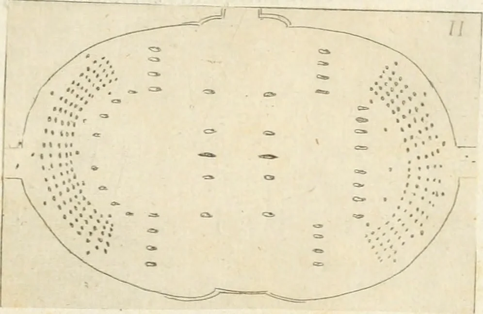 An illustration from Lettera al sig. Alberico Cibo, principe di Massa, sopra il giuoco fatto dal gran dvca intitolato Gverra d'amore il di 12. di Febraio 1615 in Firenze, 1616, leaf 22
