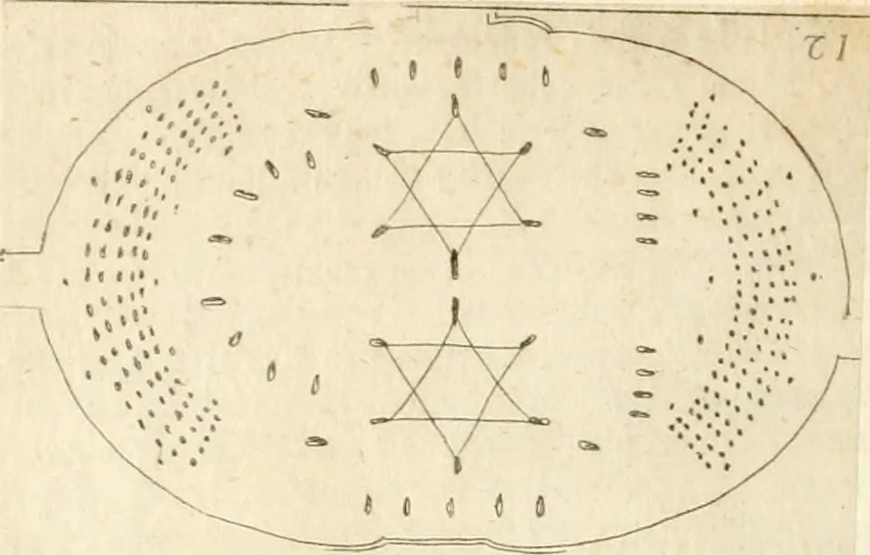 An illustration from Lettera al sig. Alberico Cibo, principe di Massa, sopra il giuoco fatto dal gran dvca intitolato Gverra d'amore il di 12. di Febraio 1615 in Firenze, 1616, leaf 23