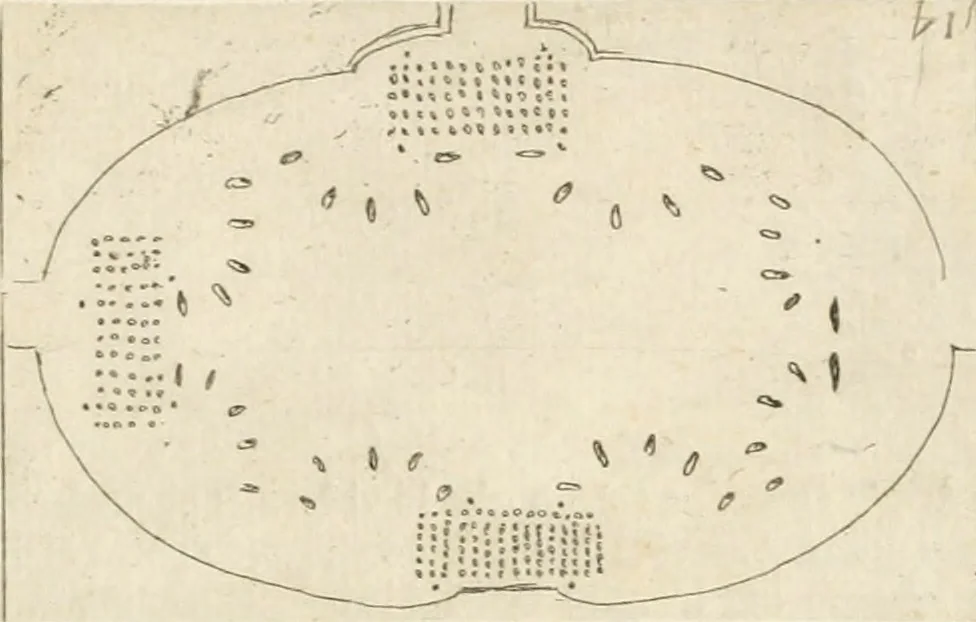 An illustration from Lettera al sig. Alberico Cibo, principe di Massa, sopra il giuoco fatto dal gran dvca intitolato Gverra d'amore il di 12. di Febraio 1615 in Firenze, 1616, leaf 24