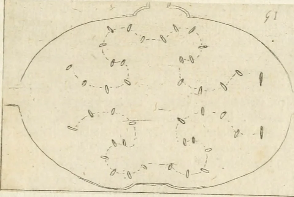 An illustration from Lettera al sig. Alberico Cibo, principe di Massa, sopra il giuoco fatto dal gran dvca intitolato Gverra d'amore il di 12. di Febraio 1615 in Firenze, 1616, leaf 24