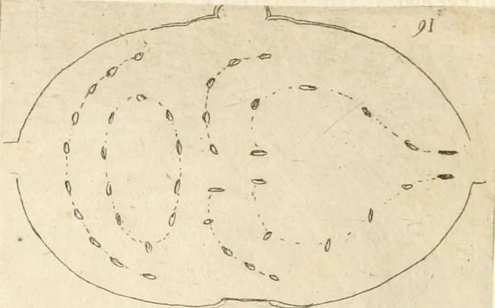 An illustration from Lettera al sig. Alberico Cibo, principe di Massa, sopra il giuoco fatto dal gran dvca intitolato Gverra d'amore il di 12. di Febraio 1615 in Firenze, 1616, leaf 25