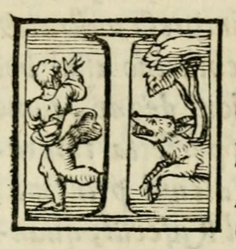 An illustration from Lettera dell'illvstre s. Costanzo Landi, conte di Compiano, sopra vna impresa d'vn pino : con i motti postovi, & con la dechiaratione di tutta la natura del pino, 1560, leaf 11