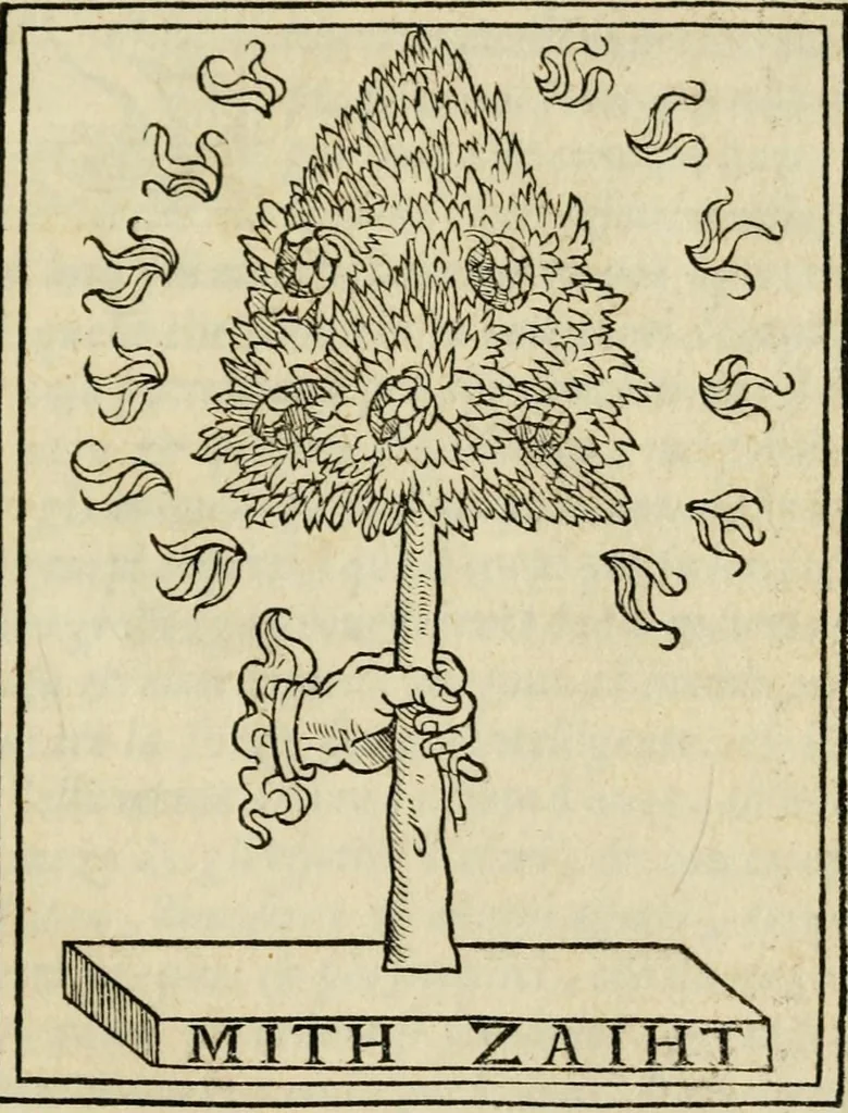 An illustration from Lettera dell'illvstre s. Costanzo Landi, conte di Compiano, sopra vna impresa d'vn pino : con i motti postovi, & con la dechiaratione di tutta la natura del pino, 1560, leaf 5
