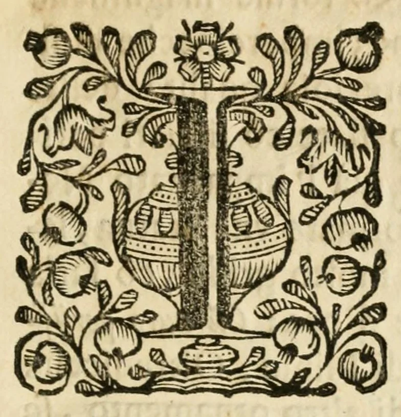 An illustration from Lettera istorica contenente il prodigio operato in Forlì da Maria Vergine : sotto la miracolosa imagine della Madonna del Fuoco, liberando la città da' tremuoti, che con grande orror l' affliggeuano : e delle solennità in occasione di esporre alla publica venerazione del popolo la detta santa imagine : scritta all' illustrissimo reuerendissimo monsig. Fabrizio Paulucci, patrizio forliuese e degnissimo vescouo di Macerata e Tolentino, 1688, leaf 5