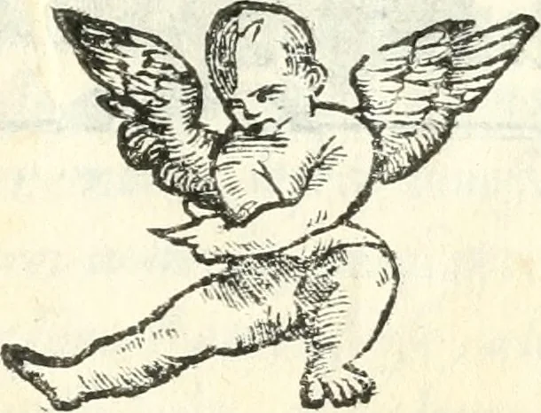 An illustration from Lettera nella qvale si descrive l'ingresso nel Palazzo Dvcale della serenissima Morosina Morosini Grimani, prencipessa di Vinetia : co' la cerimonia della Rosa benedetta, mandatale à donare dalla Santità di Nostro Signore, 1597, leaf 6