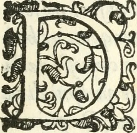 An illustration from Lettera nella qvale si descrive l'ingresso nel Palazzo Dvcale della serenissima Morosina Morosini Grimani, prencipessa di Vinetia : co' la cerimonia della Rosa benedetta, mandatale à donare dalla Santità di Nostro Signore, 1597, leaf 8
