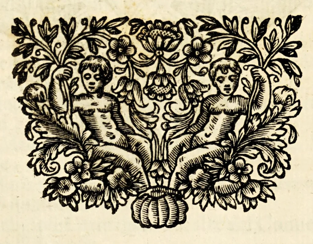 An illustration from Lettere della Santa Madre Teresa di Giesu fondatrice delle monache, e padri Carmelitani Scalzi, 1690, leaf 354