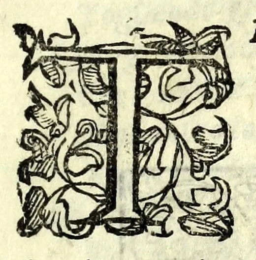 An illustration from Lettere della signora Isabella Andreini padovana, comica gelosa & academica intenta, nominata l'Accesa : aggivntovi di nvovo li ragionamenti piaceuoli dell'istessa : vi sono due tauole, vna delle Lettere e l'altra de' ragionamenti che nell'opera si contengono : di nuouo ristampate & con ogni diligenza ricorette, 1620, leaf 11