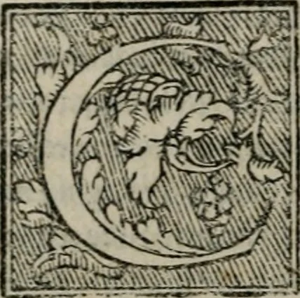 An illustration from Lettere devotissime della beata vergine santa Caterina da Siena : nuovamente con tutta la diligentia che si ha potuto ristampate, 1562, leaf 135