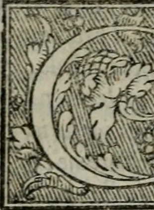 An illustration from Lettere devotissime della beata vergine santa Caterina da Siena : nuovamente con tutta la diligentia che si ha potuto ristampate, 1562, leaf 177