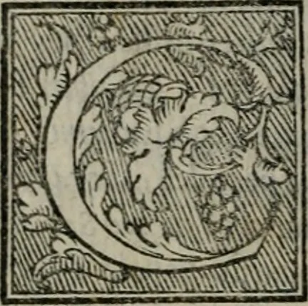 An illustration from Lettere devotissime della beata vergine santa Caterina da Siena : nuovamente con tutta la diligentia che si ha potuto ristampate, 1562, leaf 193