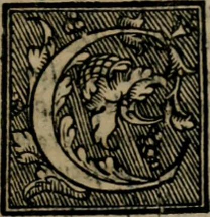 An illustration from Lettere devotissime della beata vergine santa Caterina da Siena : nuovamente con tutta la diligentia che si ha potuto ristampate, 1562, leaf 668