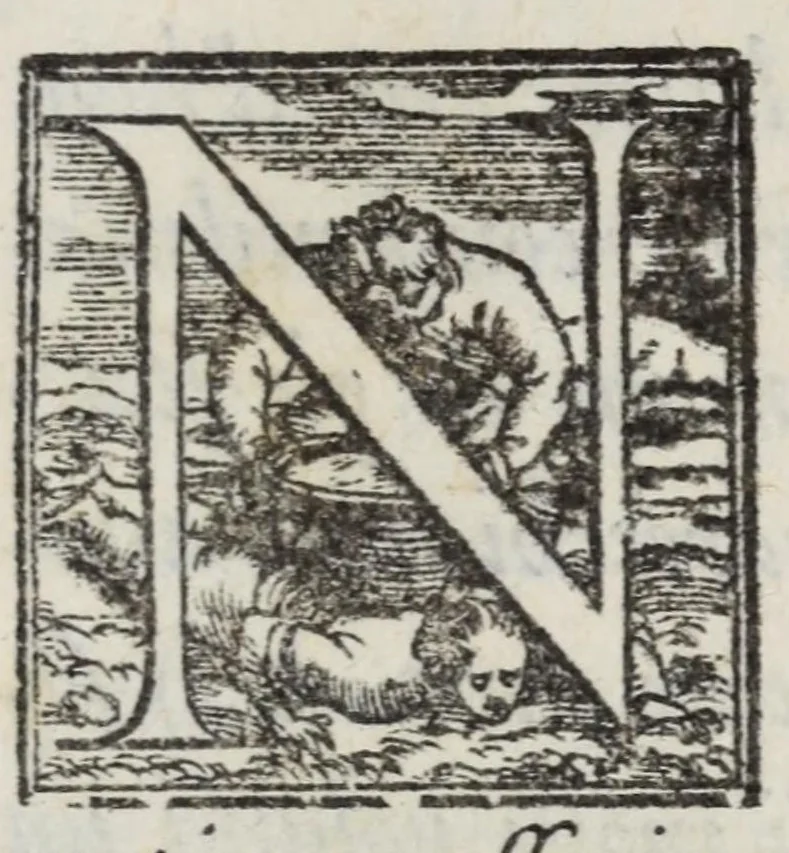 An illustration from Lettere di diversi eccellentiss. hvomini : raccolte da diversi libri : tra le qvali se ne leggono molte, non piv stampate : con gli argomenti per ciascvna delle materie, di che elle trattano : e nel fine annotationi e tauole delle cose piu notabili a utile de gli studiosi, 1554, leaf 11