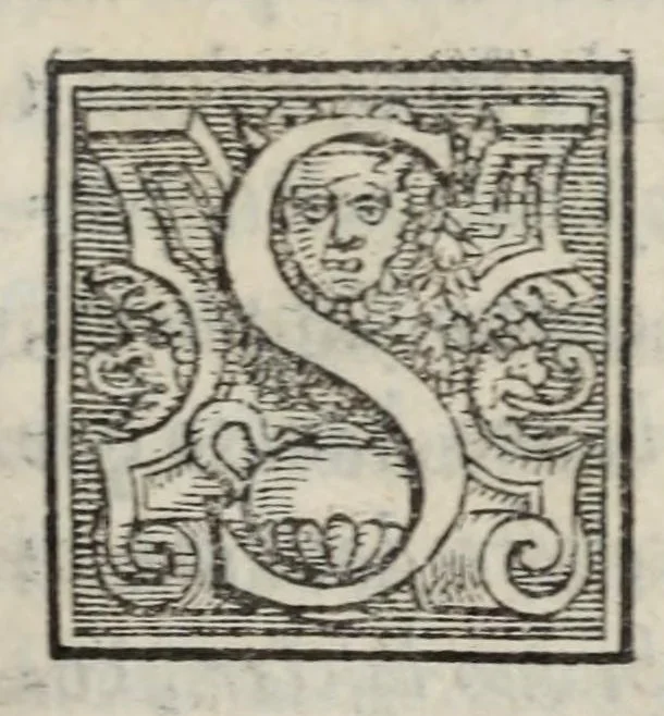 An illustration from Lettere di diversi eccellentiss. hvomini : raccolte da diversi libri : tra le qvali se ne leggono molte, non piv stampate : con gli argomenti per ciascvna delle materie, di che elle trattano : e nel fine annotationi e tauole delle cose piu notabili a utile de gli studiosi, 1554, leaf 241