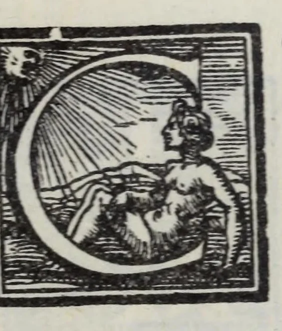An illustration from Lettere di diversi eccellentiss. hvomini : raccolte da diversi libri : tra le qvali se ne leggono molte, non piv stampate : con gli argomenti per ciascvna delle materie, di che elle trattano : e nel fine annotationi e tauole delle cose piu notabili a utile de gli studiosi, 1554, leaf 505