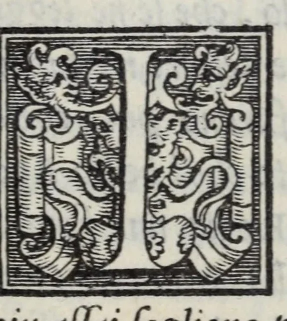 An illustration from Lettere di diversi eccellentiss. hvomini : raccolte da diversi libri : tra le qvali se ne leggono molte, non piv stampate : con gli argomenti per ciascvna delle materie, di che elle trattano : e nel fine annotationi e tauole delle cose piu notabili a utile de gli studiosi, 1554, leaf 507