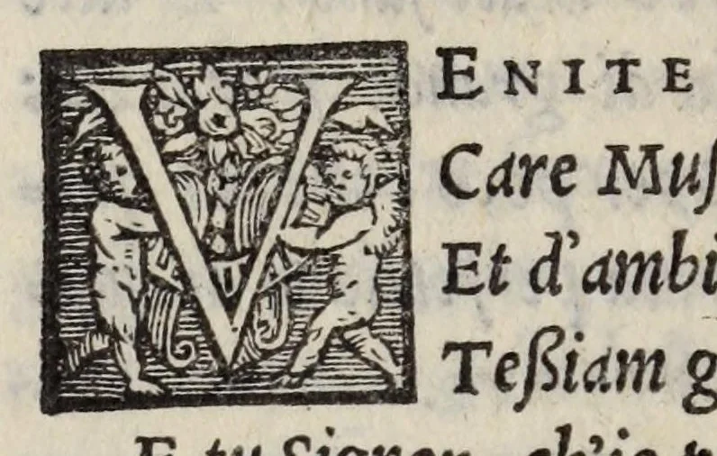 An illustration from Lettere di diversi eccellentiss. hvomini : raccolte da diversi libri : tra le qvali se ne leggono molte, non piv stampate : con gli argomenti per ciascvna delle materie, di che elle trattano : e nel fine annotationi e tauole delle cose piu notabili a utile de gli studiosi, 1554, leaf 516