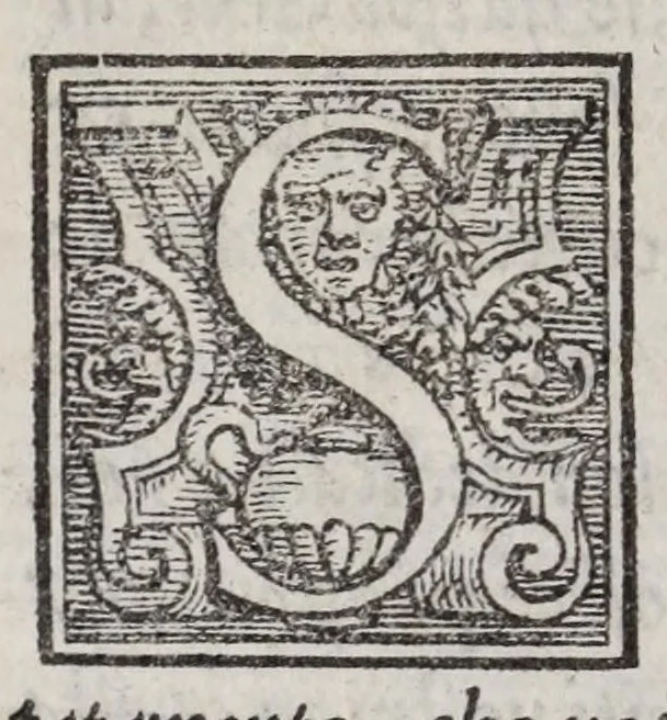 An illustration from Lettere di diversi eccellentiss. hvomini : raccolte da diversi libri : tra le qvali se ne leggono molte, non piv stampate : con gli argomenti per ciascvna delle materie, di che elle trattano : e nel fine annotationi e tauole delle cose piu notabili a utile de gli studiosi, 1554, leaf 538