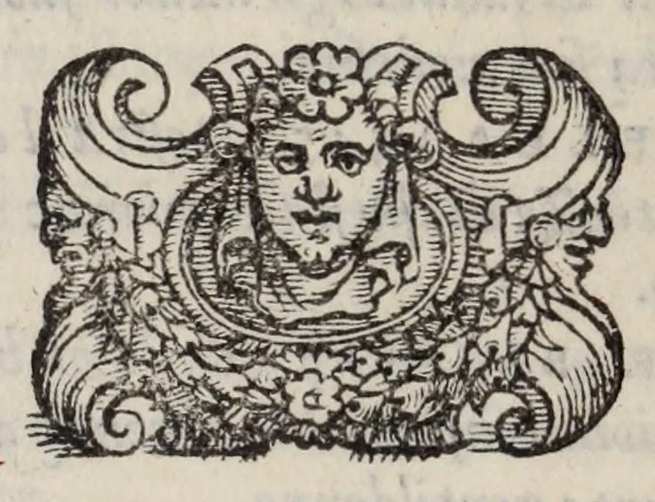 An illustration from Lettere di diversi eccellentiss. hvomini : raccolte da diversi libri : tra le qvali se ne leggono molte, non piv stampate : con gli argomenti per ciascvna delle materie, di che elle trattano : e nel fine annotationi e tauole delle cose piu notabili a utile de gli studiosi, 1554, leaf 558
