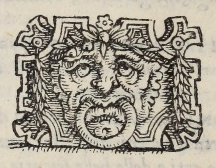 An illustration from Lettere di diversi eccellentiss. hvomini : raccolte da diversi libri : tra le qvali se ne leggono molte, non piv stampate : con gli argomenti per ciascvna delle materie, di che elle trattano : e nel fine annotationi e tauole delle cose piu notabili a utile de gli studiosi, 1554, leaf 558
