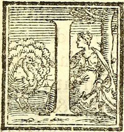 An illustration from Lettere di principi : le quali o' si scrivono da principi, ò à principi, o'ragionan di principi ..., 1564, leaf 12