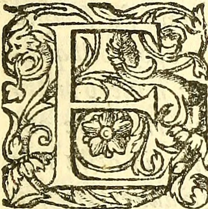 An illustration from Lettere di principi : le quali o' si scrivono da principi, ò à principi, o'ragionan di principi ..., 1564, leaf 20