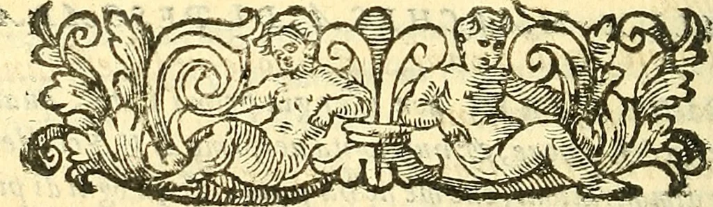 An illustration from Lettere di principi : le quali o' si scrivono da principi, ò à principi, o'ragionan di principi ..., 1564, leaf 493