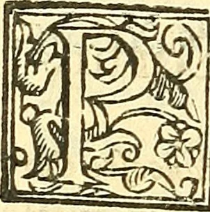 An illustration from Lettere di principi : le quali o' si scrivono da principi, ò à principi, o'ragionan di principi ..., 1564, leaf 495