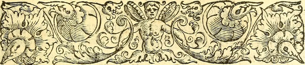 An illustration from Lettere di principi : le quali o' si scrivono da principi, ò à principi, o'ragionan di principi ..., 1564, leaf 496