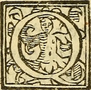An illustration from Lettere di principi : le quali o' si scrivono da principi, ò à principi, o'ragionan di principi ..., 1564, leaf 379