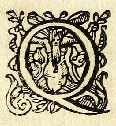 An illustration from Lettere facete, e chiribizzose in lengua antiga, venitiana, et vna à la gratiana, con alguni sonetti, é canzoni piaseuoli venitiani, é toscani enel fin trenta villanelle a diuersi signori é do[n]ne lucchesi et altri, 1588, leaf 102