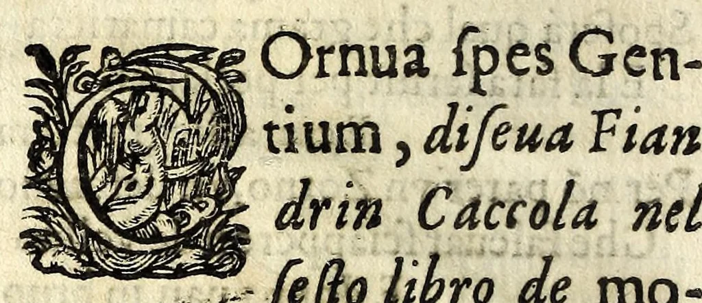 An illustration from Lettere facete, e chiribizzose in lengua antiga, venitiana, et vna à la gratiana, con alguni sonetti, é canzoni piaseuoli venitiani, é toscani enel fin trenta villanelle a diuersi signori é do[n]ne lucchesi et altri, 1588, leaf 188