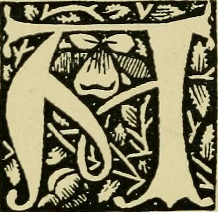 An illustration from Lettering in ornament; an enquiry into the decorative use of lettering, past, present, and possible, 1902, leaf 207