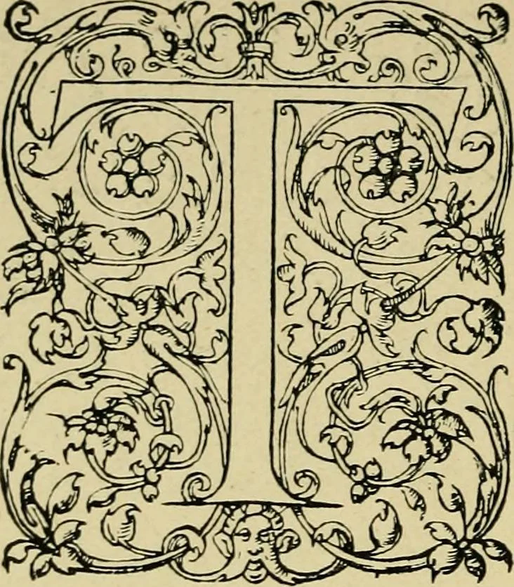 An illustration from Lettering in ornament; an enquiry into the decorative use of lettering, past, present, and possible, 1902, leaf 211
