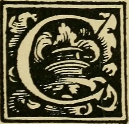 An illustration from Lettering in ornament; an enquiry into the decorative use of lettering, past, present, and possible, 1902, leaf 218