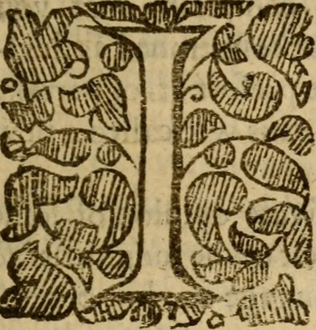 An illustration from A letter of many ministers in old England, requesting the judgement of their brethren in New England concerning nine positions ; written Anno Dom. 1637 : together with their answer thereunto returned, Anno 1639 ; and the reply made unto the said answer, and sent over unto them, Anno 1640, 1643, leaf 14
