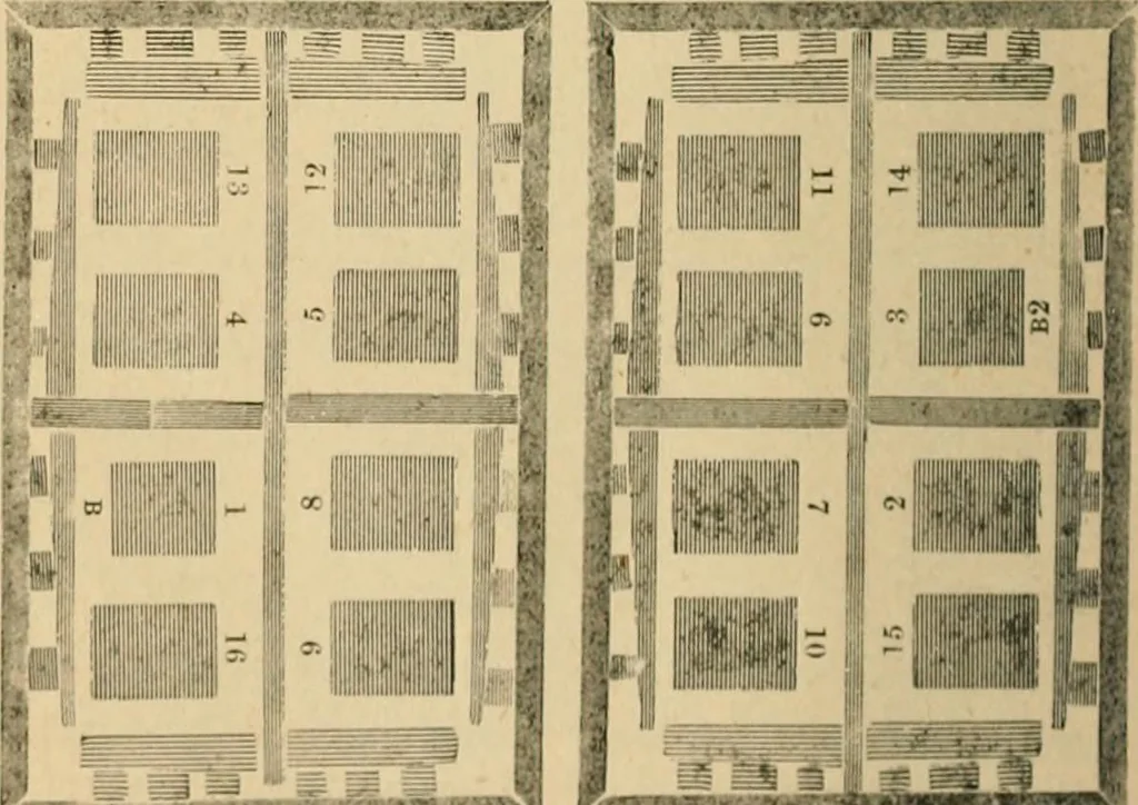 An illustration from The letter-press printer: a complete guide to the art of printing ; containing practical instructions for learners at case, press, and machine. Embracing the whole practice of book-work, with diagram and complete schemes of impositions; job work, with examples; news-work, colour work, to make coloured inks, to work press and machine, to make rollers, instructions in stereotyping, and other valuable information, 1881, leaf 51