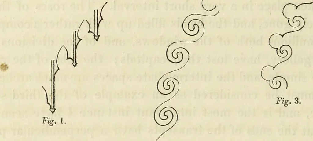An illustration from Letters of an architect, from France, Italy, and Greece, 1828, leaf 140