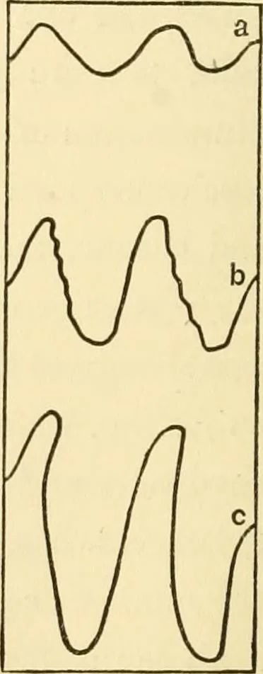 An illustration from Letters to a mother on the philosophy of Froebel, 1899, leaf 209
