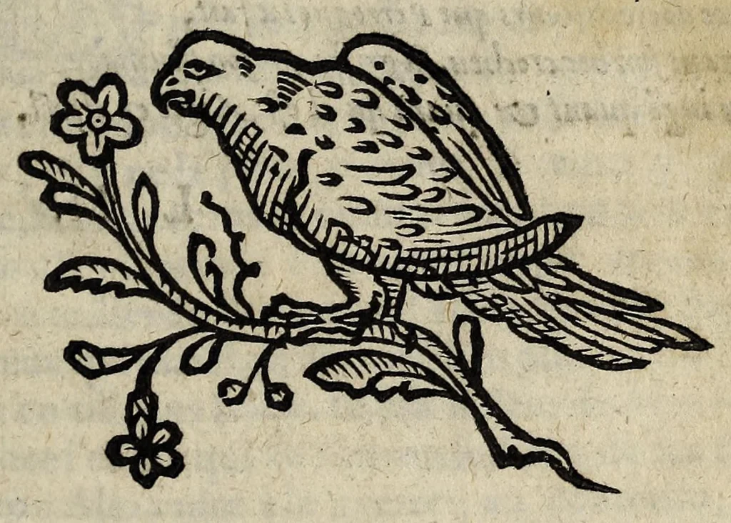 An illustration from Lettre de Perroqvet avx enfans perdvs de France ..., 1614, leaf 7