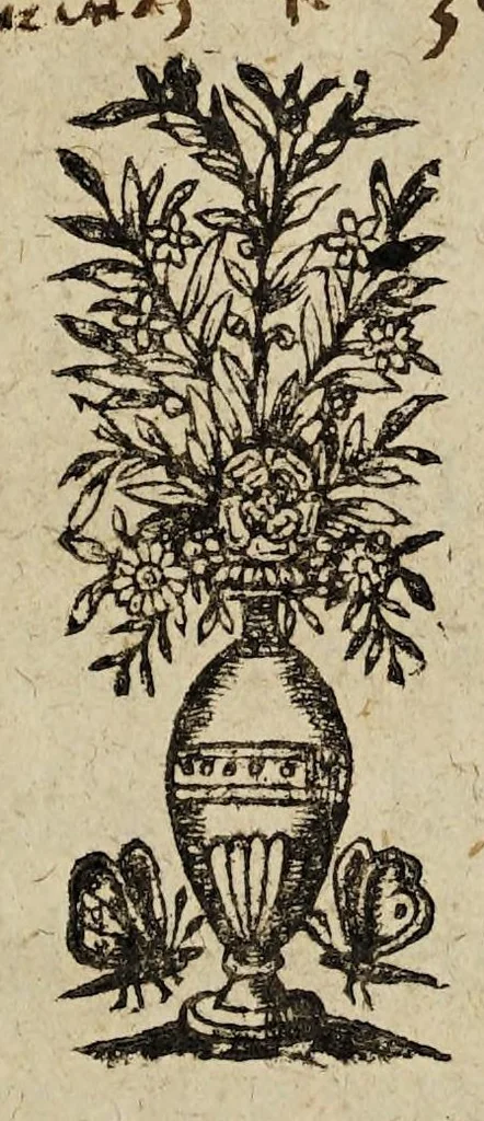 An illustration from Lettre envoyee a la royne mere du roy, contenant ce qui s'est passé en la prise de Priuas. Et la reduction de cinq ou six autres places rebelles., 1629, leaf 11