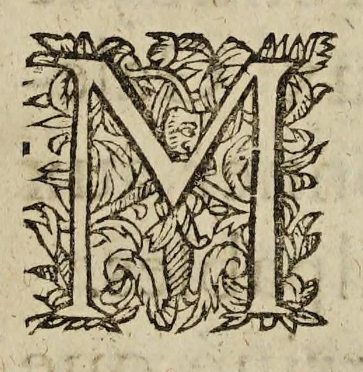 An illustration from Lettre envoyee a la royne mere du roy, contenant ce qui s'est passé en la prise de Priuas. Et la reduction de cinq ou six autres places rebelles., 1629, leaf 13