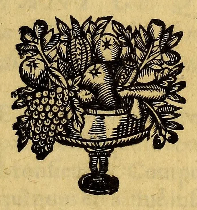 An illustration from Lettre escrite de Cayenne; contenant ce qui s'est passé en la descente des François, & leur establissement en l'Amerique, 1653, leaf 9